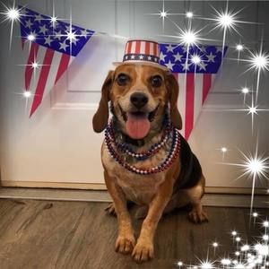 Meet your Posher, Nancy